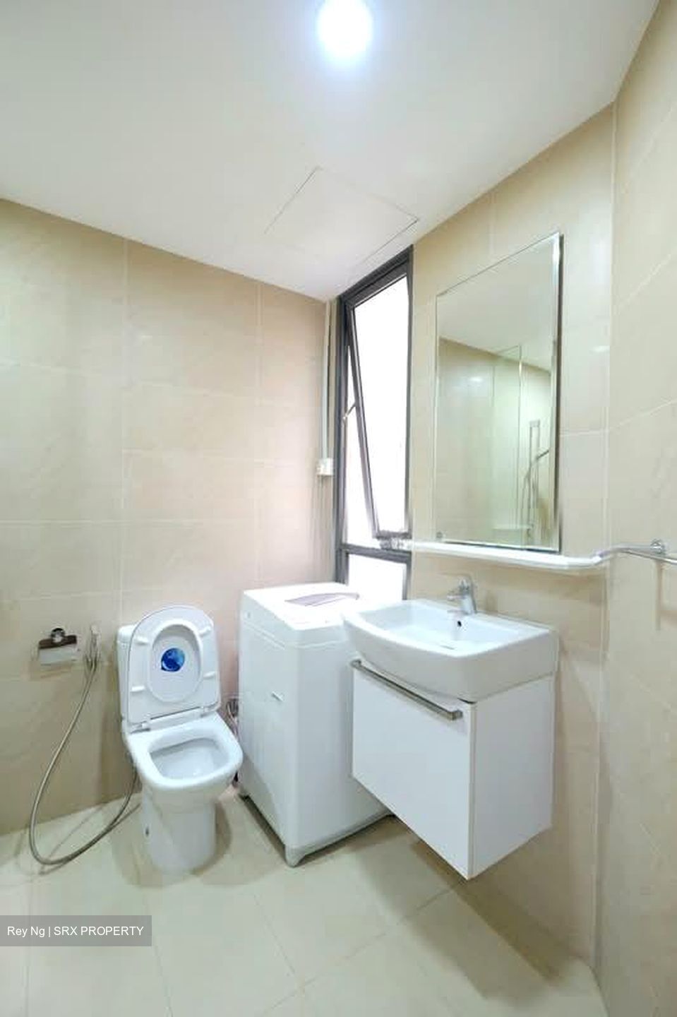 The Miltonia Residences (D27), Condominium #557421241